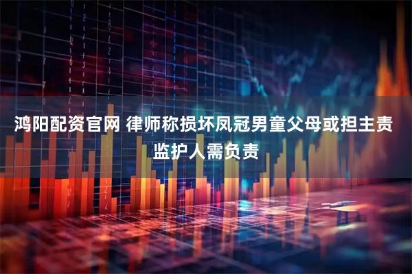 鸿阳配资官网 律师称损坏凤冠男童父母或担主责 监护人需负责