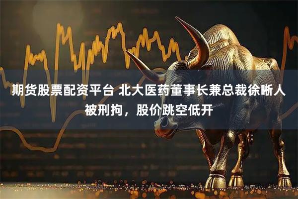 期货股票配资平台 北大医药董事长兼总裁徐晰人被刑拘，股价跳空低开