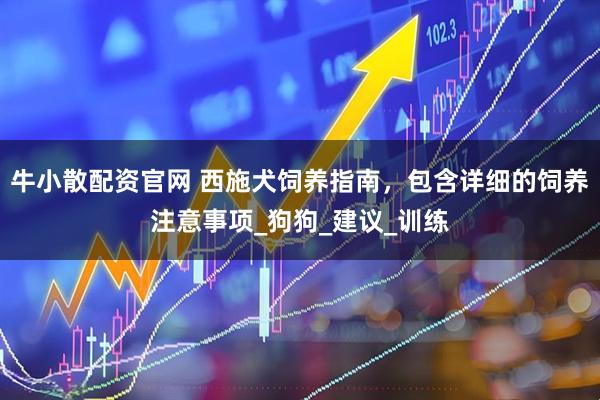 牛小散配资官网 西施犬饲养指南，包含详细的饲养注意事项_狗狗_建议_训练
