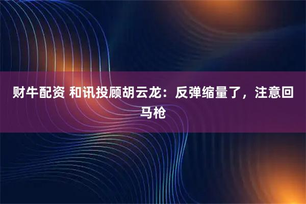 财牛配资 和讯投顾胡云龙：反弹缩量了，注意回马枪